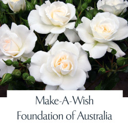 Make-A-Wish Foundation of Australia